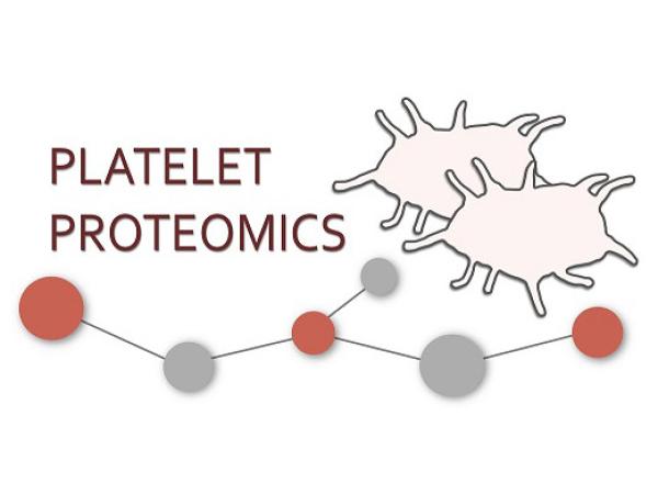 Platelet Proteomics 