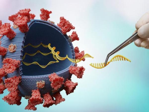 Investigadores del CiMUS de la USC y la Fundación Pública Galega de Medicina Xenómica identifican nuevos genes responsables de la severidad de la COVID